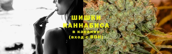 ПСИЛОЦИБИНОВЫЕ ГРИБЫ Дмитровск