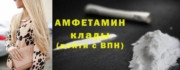PSILOCYBIN Дмитриев