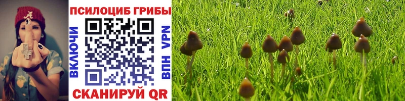 Галлюциногенные грибы Psilocybine cubensis  Южно-Сахалинск 